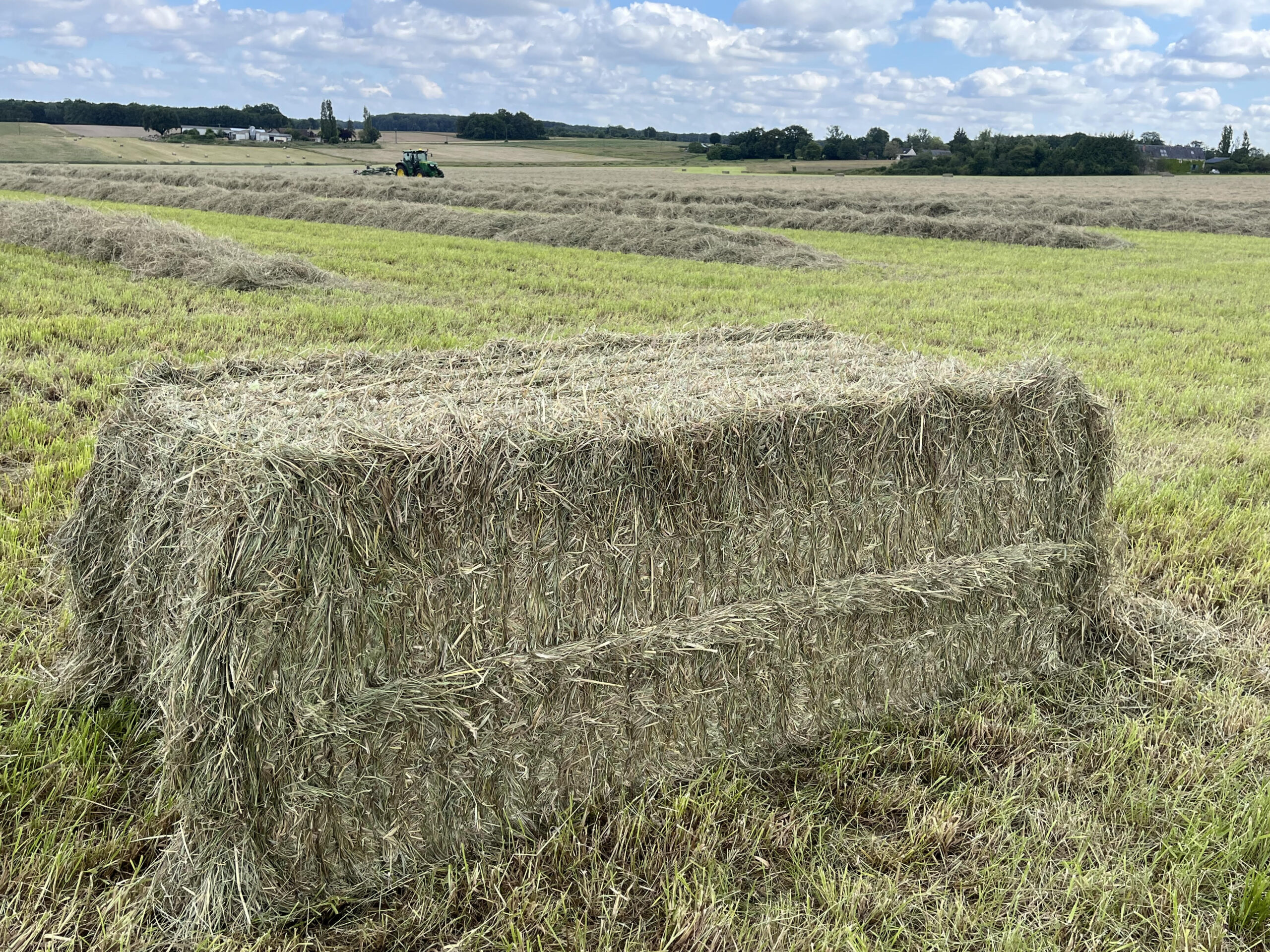 Foin au champ 2024 Botte de foin